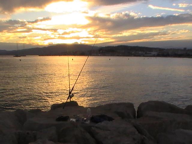 incep sa apara pesti din franta - 2013-08-25-200547.jpg